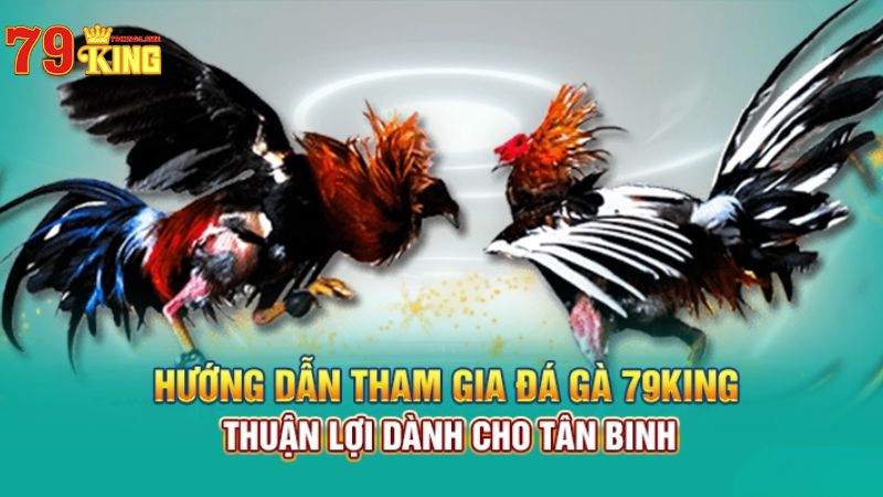 Hướng dẫn tham gia đá gà 79King4