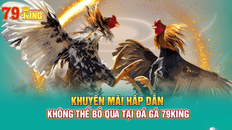 Khuyến mãi đá gà 79King4 hấp dẫn