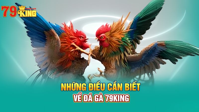 Những điều cần biết về đá gà 79King4